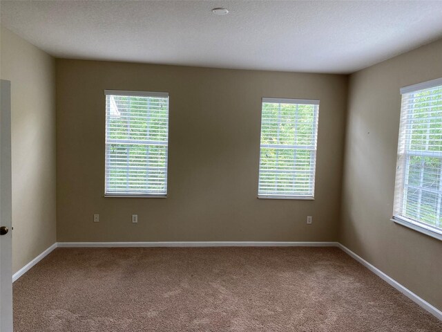 8320 Manor Club Cir Unit 4, Tampa, FL 33647 - photo 14