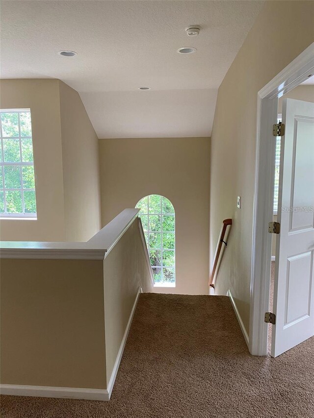 8320 Manor Club Cir Unit 4, Tampa, FL 33647 - photo 21