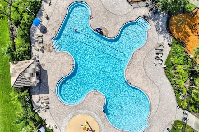 11309 Langworth Hill Ln, Riverview, FL 33579 - view of swimming pool