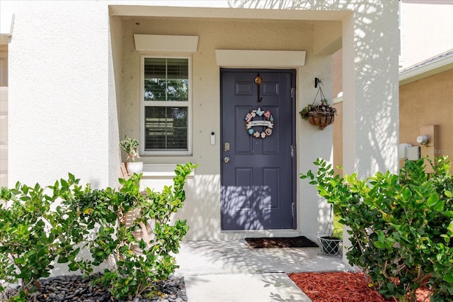 17156 Yellow Pine St, Wimauma, FL 33598 - view of exterior entry featuring stucco siding