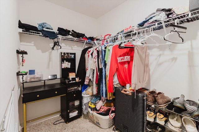 17156 Yellow Pine St, Wimauma, FL 33598 - walk in closet with carpet flooring