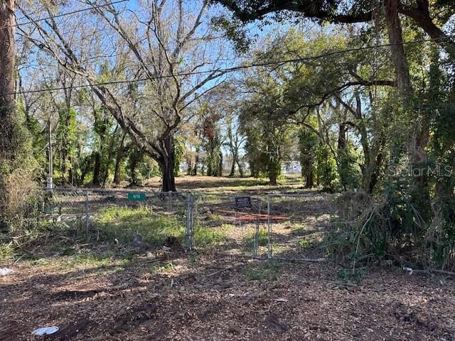 6215 Eugene St, Tampa, FL 33619