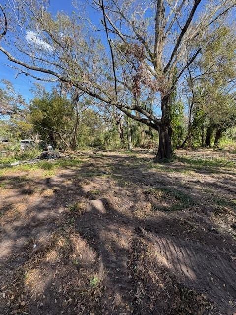 6215 Eugene St, Tampa, FL 33619