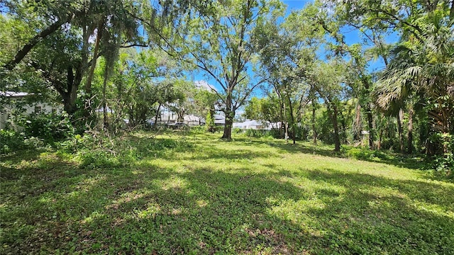 6215 Eugene St, Tampa, FL 33619 - photo 3