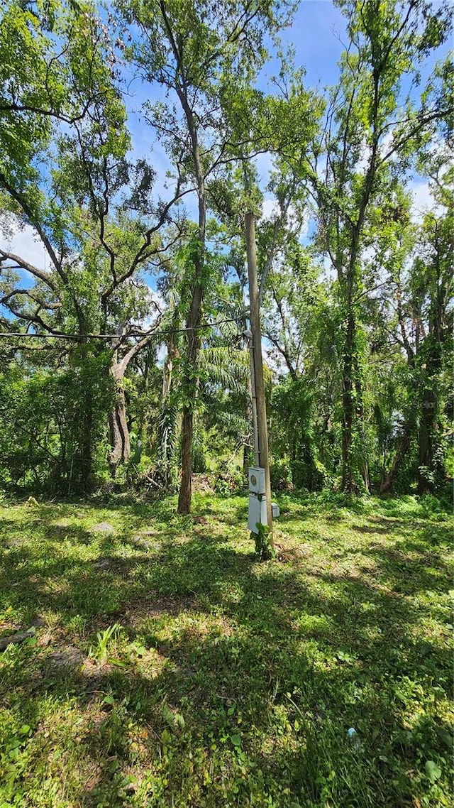 6215 Eugene St, Tampa, FL 33619 - photo 5