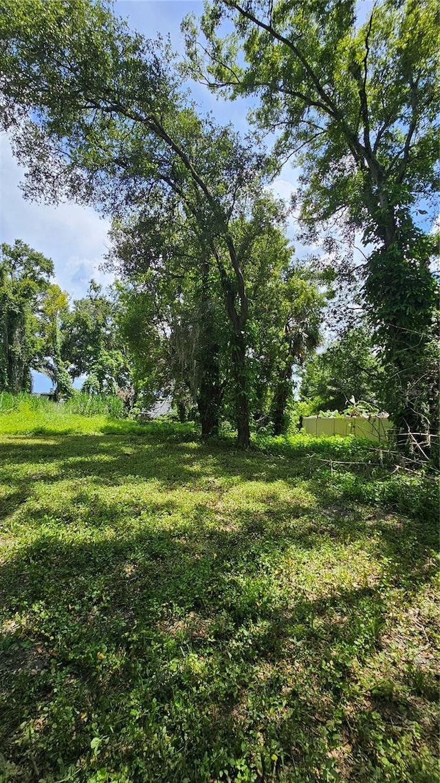 6215 Eugene St, Tampa, FL 33619 - photo 11
