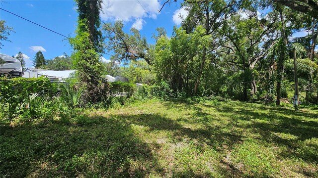 6215 Eugene St, Tampa, FL 33619 - photo 12
