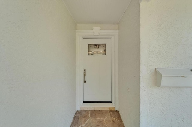 4518 Helena St NE, Saint Petersburg, FL 33703 - doorway to property with stucco siding