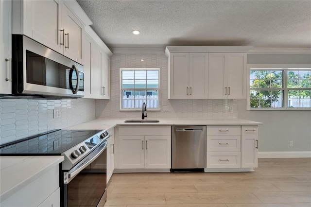 4518 Helena St NE, Saint Petersburg, FL 33703 - kitchen featuring stainless steel appliances, a textured ceiling, plenty of natural light, light wood finished floors, and ornamental molding