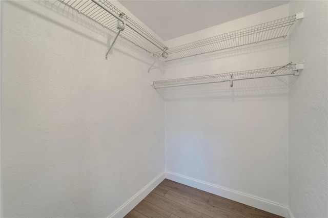 4518 Helena St NE, Saint Petersburg, FL 33703 - walk in closet with wood finished floors