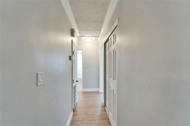 4518 Helena St NE, Saint Petersburg, FL 33703 - photo 36