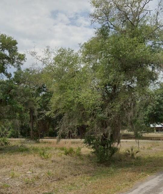 9379 N Bromeliad Ter, Crystal River, FL 34428