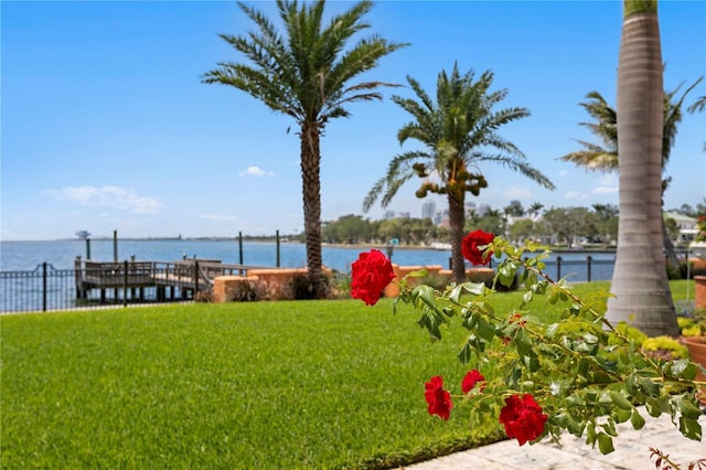 501 Brightwaters Blvd NE, Saint Petersburg, FL 33704 - photo 43