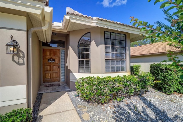 3704 Darston St, Palm Harbor, FL 34685 - property entrance featuring stucco siding and a tile roof