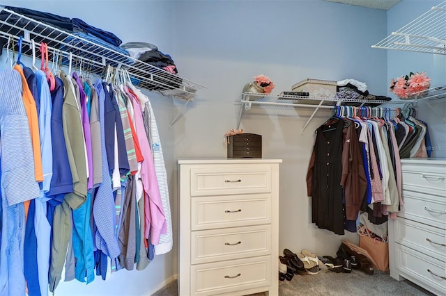 3704 Darston St, Palm Harbor, FL 34685 - spacious closet featuring carpet flooring