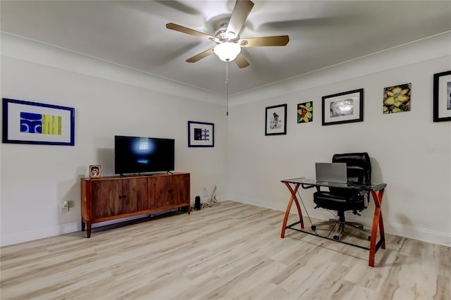 1868 Lombardy Dr, Clearwater, FL 33755 - photo 10