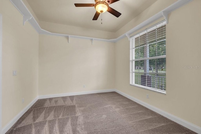 10510 Lithia Estates Dr, Lithia, FL 33547 - unfurnished room featuring carpet flooring and ceiling fan
