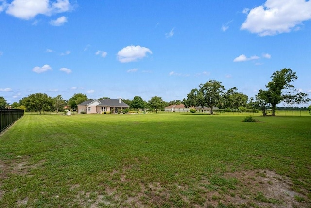 10510 Lithia Estates Dr, Lithia, FL 33547 - view of yard