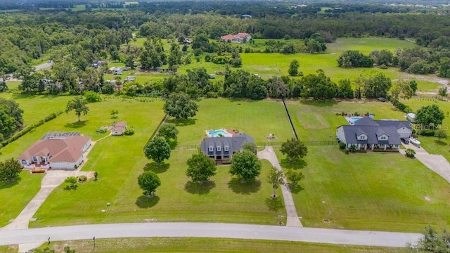 10510 Lithia Estates Dr, Lithia, FL 33547 - bird's eye view