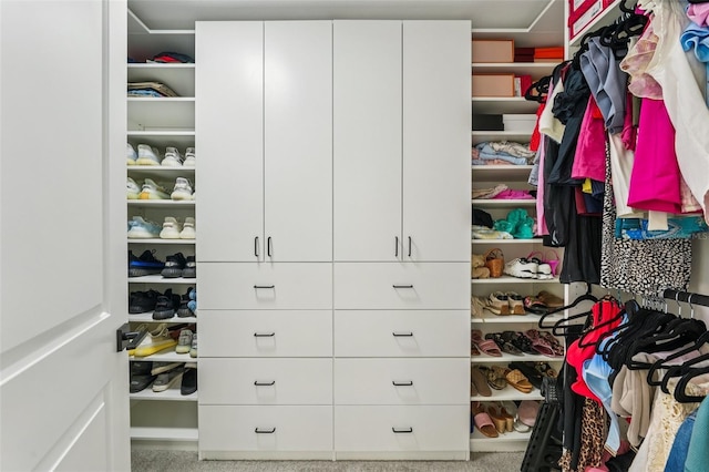 311 22nd St, Belleair Beach, FL 33786 - view of spacious closet