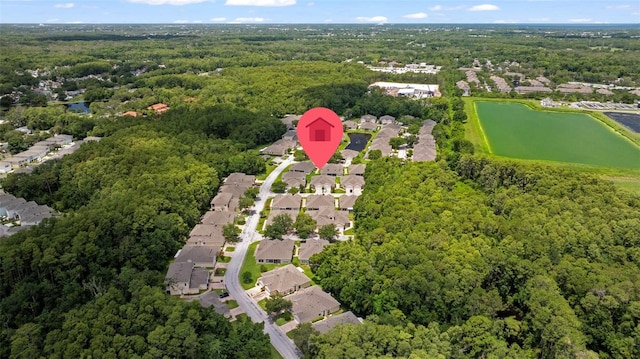 2537 Stanhope Dr, New Port Richey, FL 34655 - aerial view of residential area with a forest and a large body of water