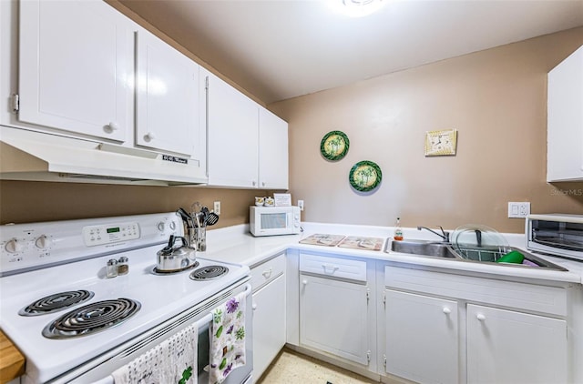 4580 Overlook Dr NE Unit 191, Saint Petersburg, FL 33703 - photo 15