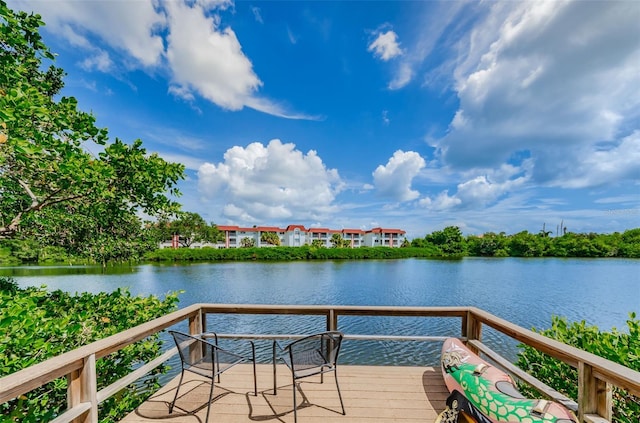 4580 Overlook Dr NE Unit 191, Saint Petersburg, FL 33703 - photo 20