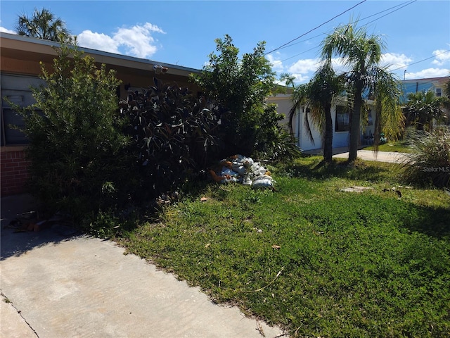 13710 Frances Ave, Hudson, FL 34667 - view of yard