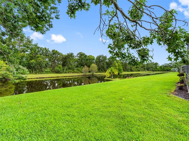 12439 Bristol Commons Cir, Tampa, FL 33626 - view of grassy yard with a water view