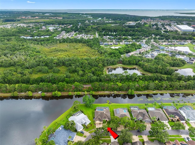 12439 Bristol Commons Cir, Tampa, FL 33626 - aerial overview of property's location with nearby suburban area and a large body of water