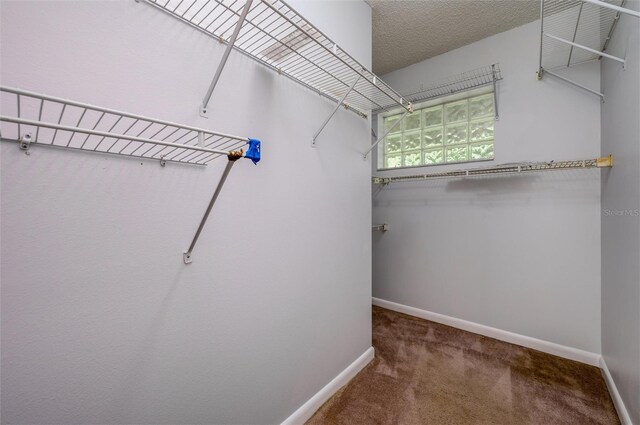 17807 Fallowfield Dr, Lutz, FL 33549 - photo 20