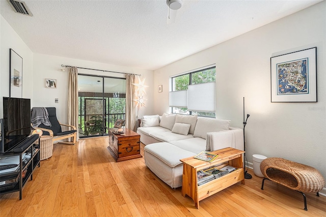 2368 Flanders Way Unit D, Safety Harbor, FL 34695 - living room with light wood-type flooring