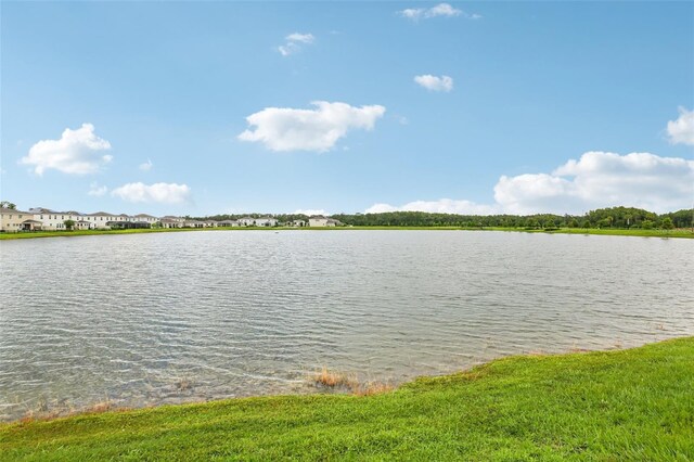 15825 Mauvewood Ave, Odessa, FL 33556 - photo 31