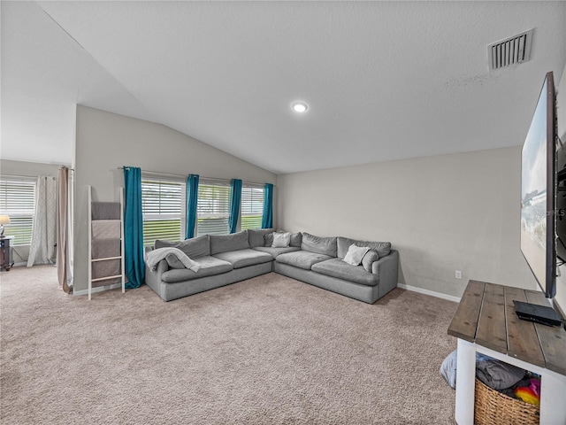 13105 Fruitville Way, Riverview, FL 33579 - living area with lofted ceiling and carpet