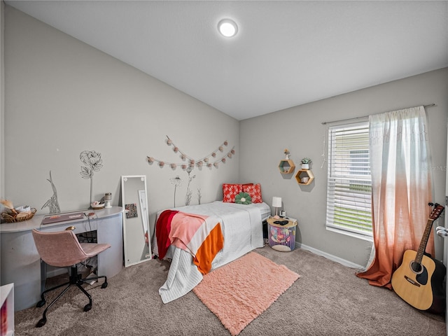 13105 Fruitville Way, Riverview, FL 33579 - bedroom featuring carpet flooring and a desk
