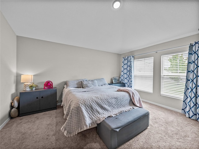 13105 Fruitville Way, Riverview, FL 33579 - bedroom featuring carpet
