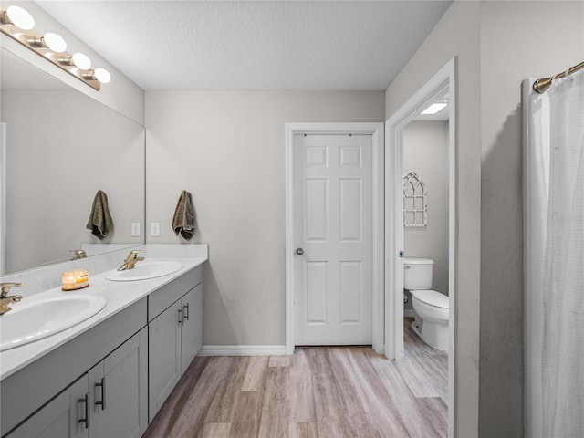 13105 Fruitville Way, Riverview, FL 33579 - bathroom with wood finished floors, double vanity, and a textured ceiling