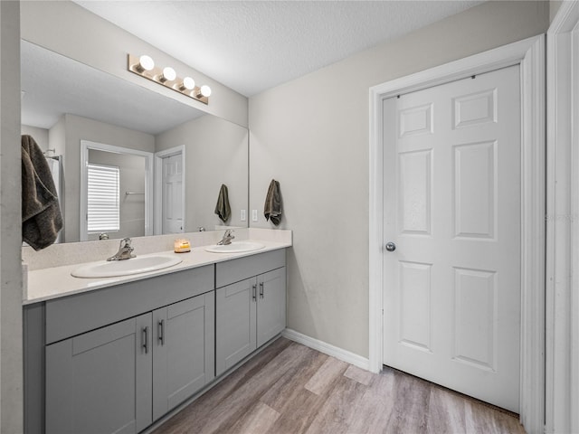 13105 Fruitville Way, Riverview, FL 33579 - full bath featuring double vanity, wood finished floors, and a textured ceiling