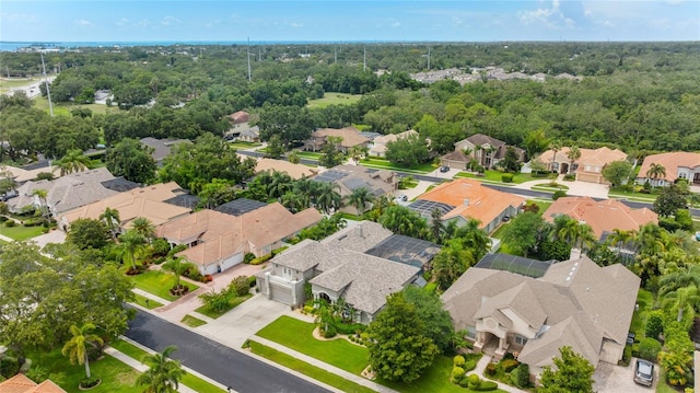 1553 Canopy Oaks Blvd, Palm Harbor, FL 34683 - photo 51