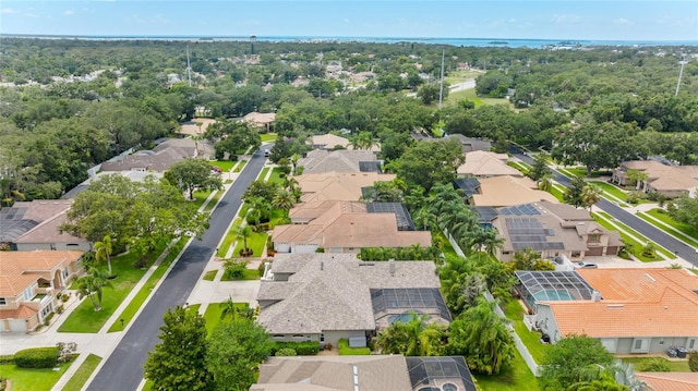 1553 Canopy Oaks Blvd, Palm Harbor, FL 34683 - photo 52