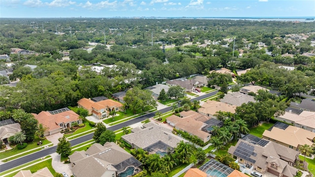 1553 Canopy Oaks Blvd, Palm Harbor, FL 34683 - photo 53