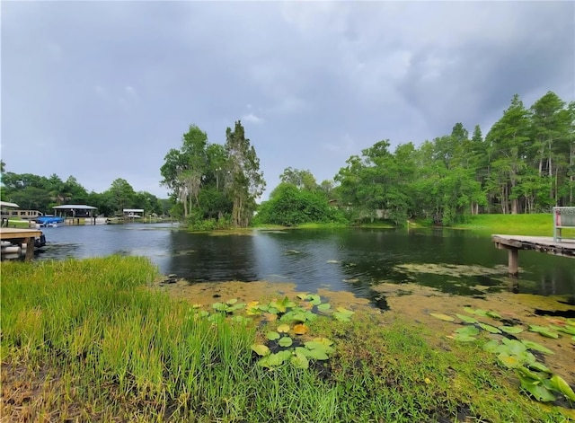 2014 Nancy Ave, Lutz, FL 33548 - water view