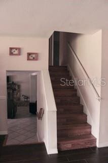 2014 Nancy Ave, Lutz, FL 33548 - photo 20