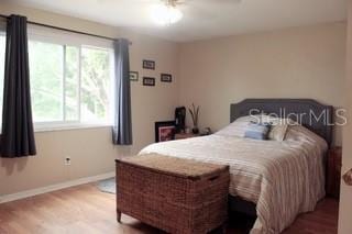 2014 Nancy Ave, Lutz, FL 33548 - photo 21