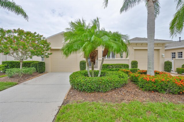 2292 Sifield Greens Way Unit 59, Sun City Center, FL 33573 - photo 1