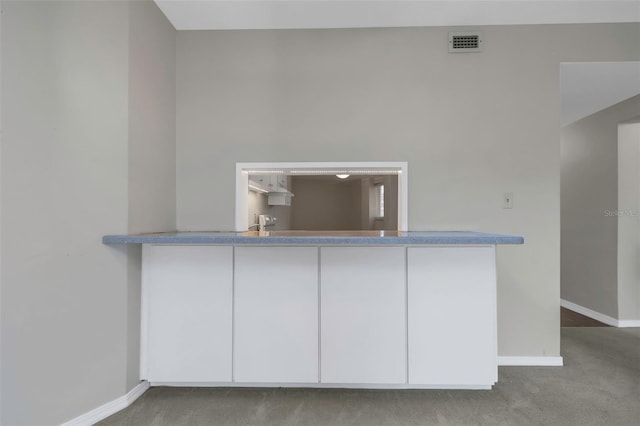 1200 N Shore Dr NE Unit 205, Saint Petersburg, FL 33701 - photo 16