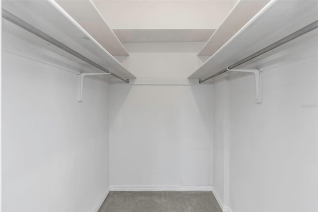 1200 N Shore Dr NE Unit 205, Saint Petersburg, FL 33701 - photo 22