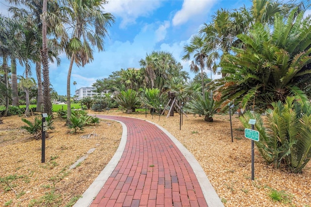 1200 N Shore Dr NE Unit 205, Saint Petersburg, FL 33701 - photo 45