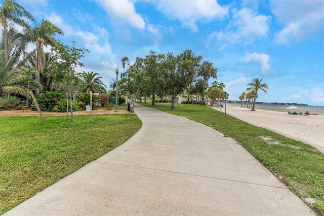 1200 N Shore Dr NE Unit 205, Saint Petersburg, FL 33701 - photo 49