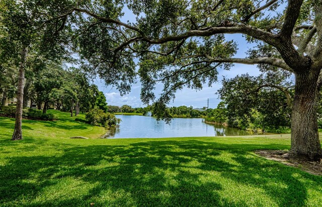 2690 Coral Landings Blvd Unit 122, Palm Harbor, FL 34684 - photo 27